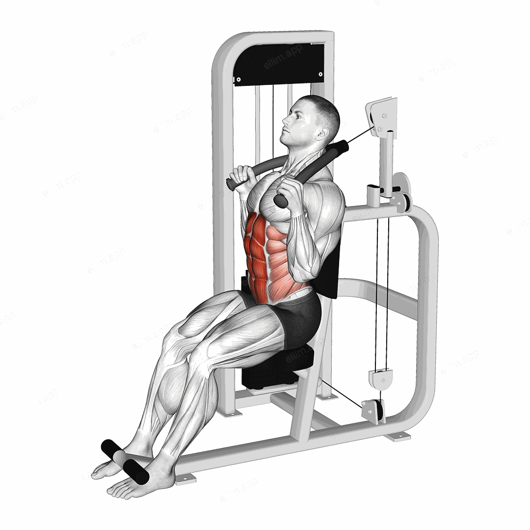 Lever Seated Full Crunch exercise targeting Waist
