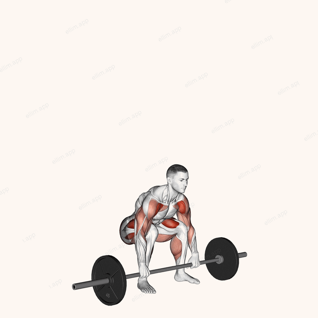 Barbell Weightlifting Complex exercise targeting Deltoid Anterior and Gluteus Maximus