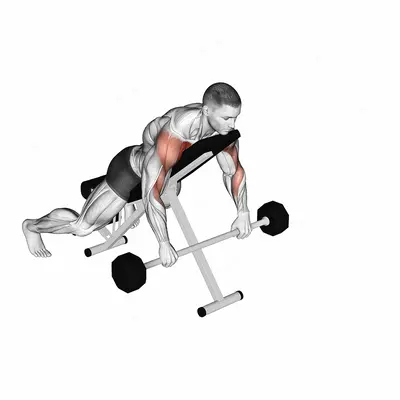 Barbell Incline Lying Rear Delt Raise exercise targeting Shoulders and Deltoid Anterior