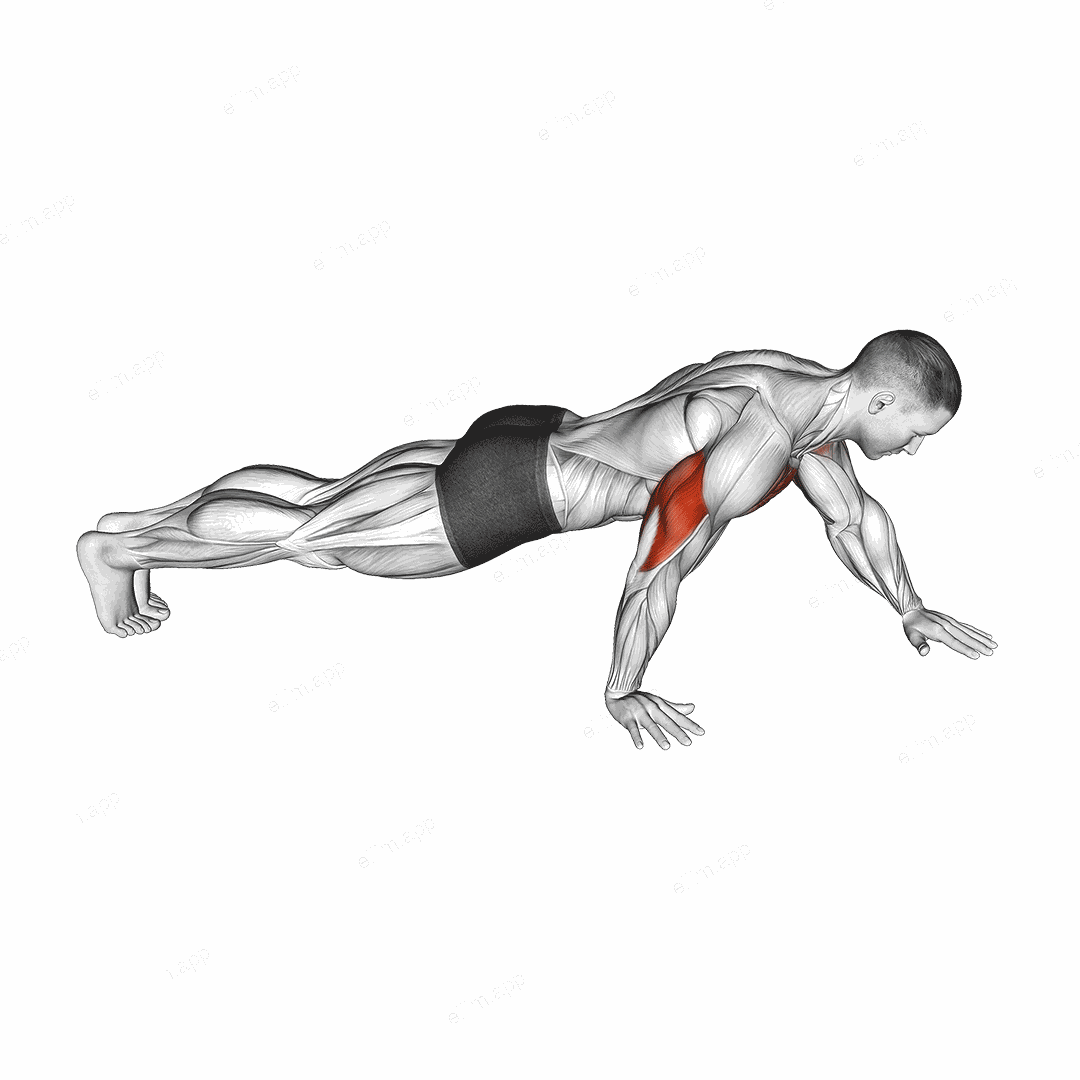 Push-up Hand by Hand exercise targeting Pectoralis Major Clavicular Head and Pectoralis Major Sternal Head