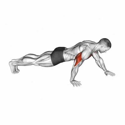 Push-up Hand by Hand exercise targeting Pectoralis Major Clavicular Head and Pectoralis Major Sternal Head