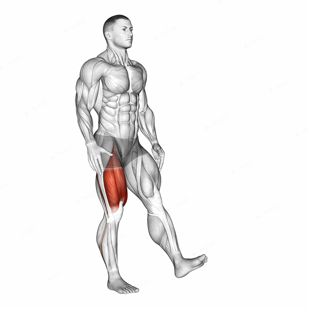 One Leg Quarter Squat exercise targeting Thighs and Gluteus Maximus