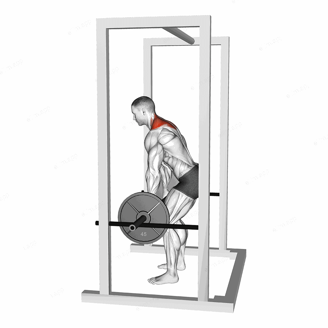 Barbell Power Shrug exercise targeting Back