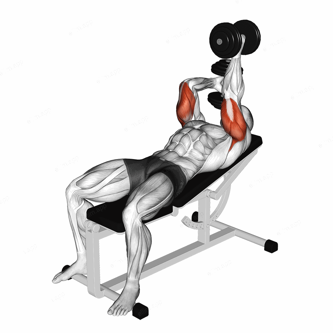 Dumbbell Lying Alternate Extension exercise targeting Upper Arms and Triceps Brachii
