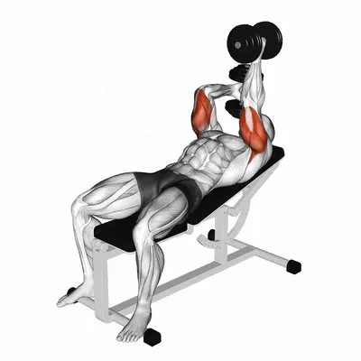 Dumbbell Lying Alternate Extension exercise targeting Upper Arms and Triceps Brachii
