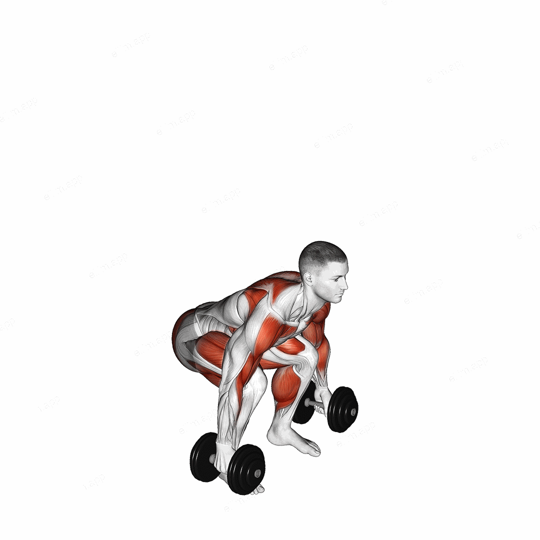 Dumbbell Clean exercise targeting Thighs and Deltoid Anterior