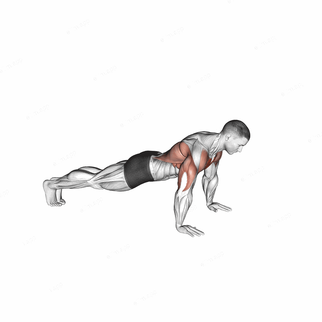 Bird Dog Push-Up exercise targeting Chest