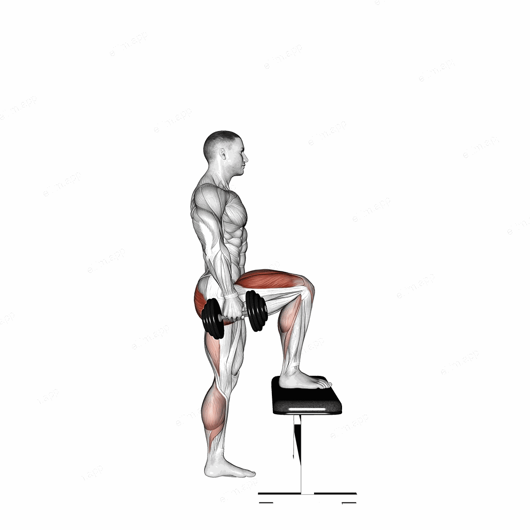 Dumbbell Step up exercise targeting Thighs