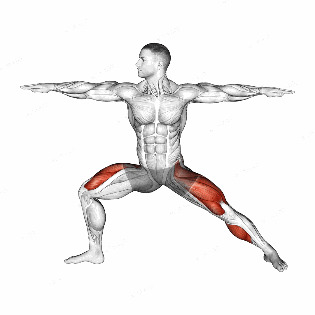 Warrior II Yoga Pose exercise targeting Stretching