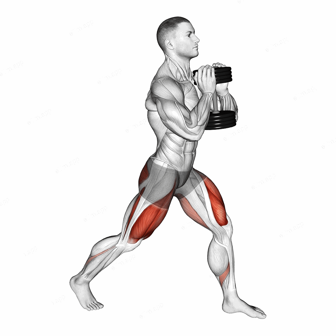 Dumbbell Goblet Split Squat exercise targeting Thighs and Gluteus Maximus