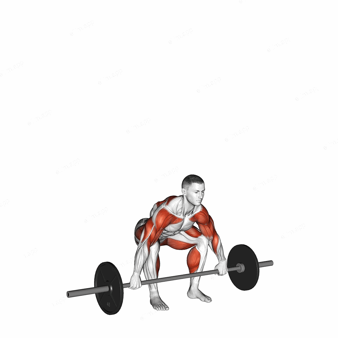 Barbell Snatch exercise targeting Weightlifting and Adductor Magnus