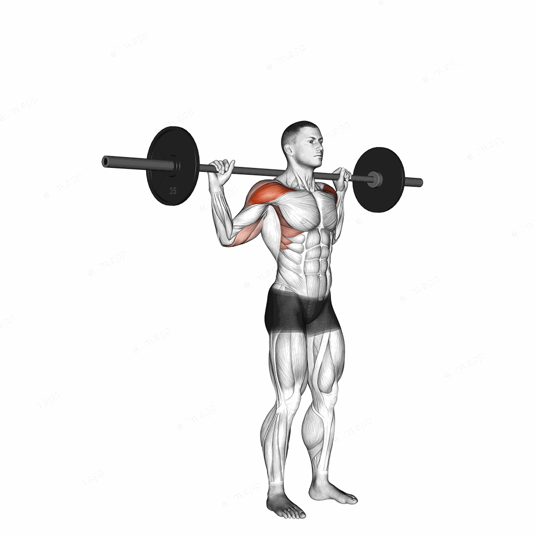 Standing Behind Neck Press exercise targeting Shoulders and Deltoid Anterior