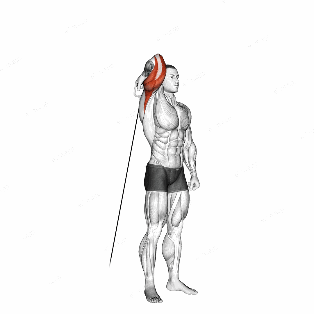 Cable Standing Reverse Grip One Arm Overhead Tricep Extension exercise targeting Upper Arms