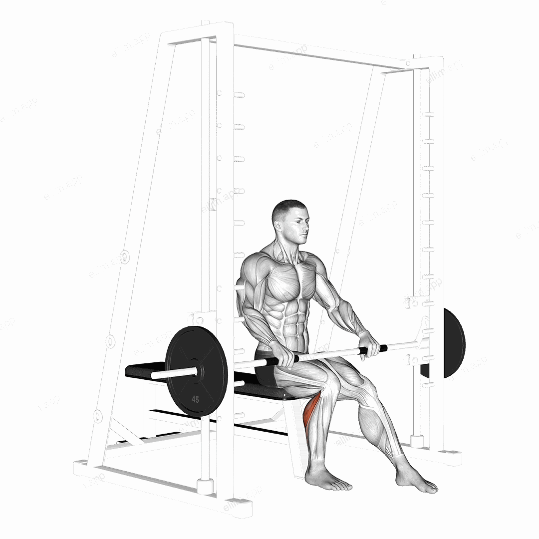 Smith Seated One Leg Calf Raise exercise targeting Calves and Gastrocnemius