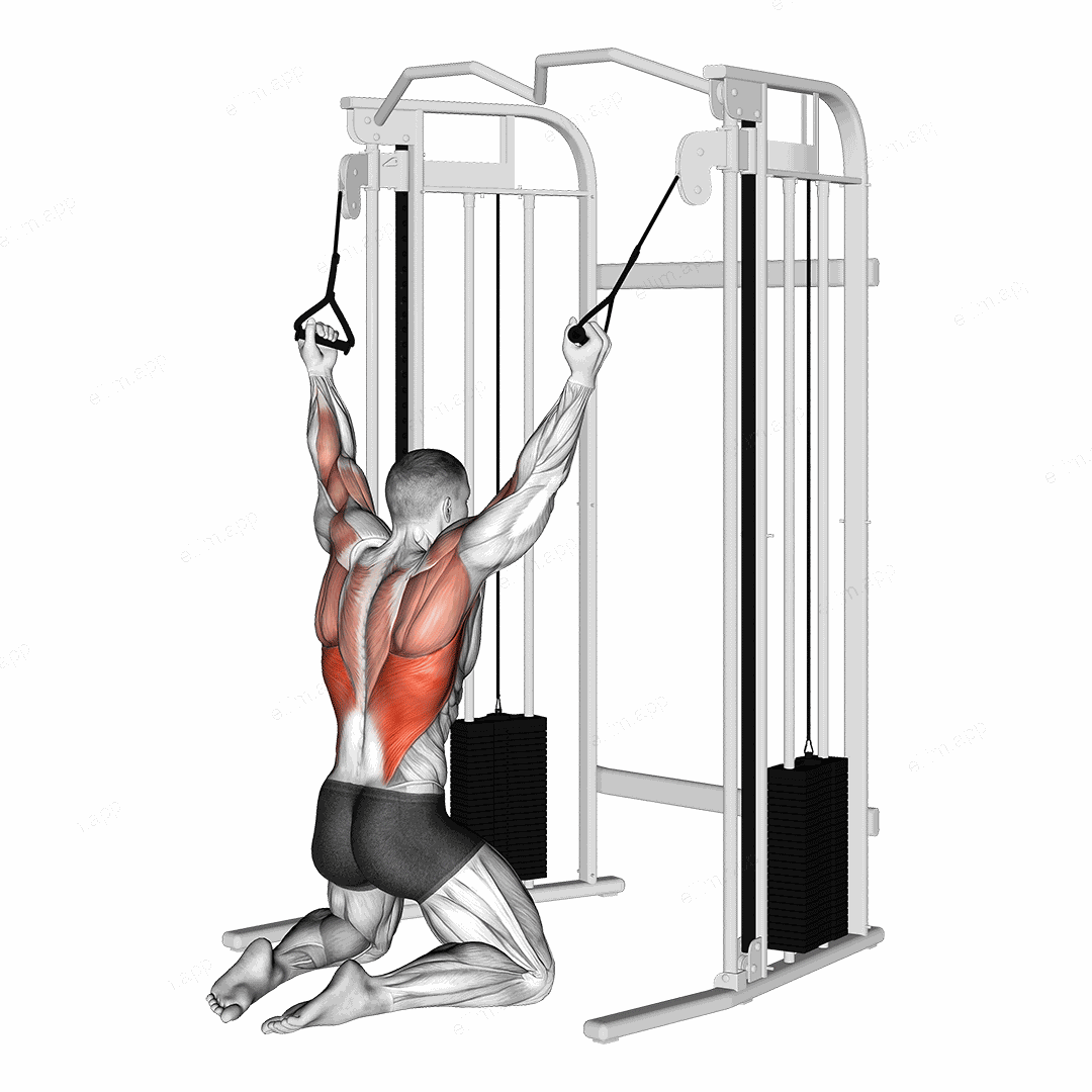 Cable Parallel Grip Lat Pulldown on Floor exercise targeting Back and Latissimus Dorsi
