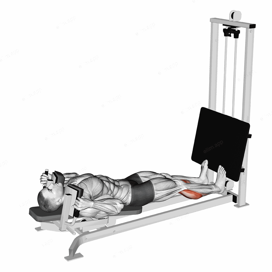 Sled Lying Calf Press exercise targeting Calves and Gastrocnemius