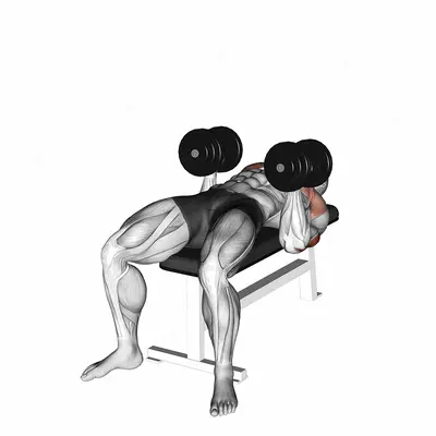 Dumbbell Twisting Bench Press exercise targeting Upper Arms