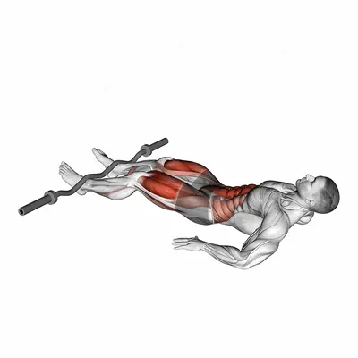 EZ Bar Reverse Crunch exercise targeting Waist