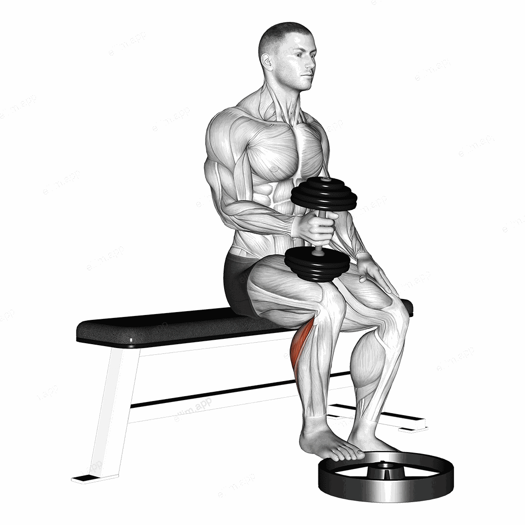 Dumbbell Seated One Leg Calf Raise - Hammer Grip exercise targeting Calves and Gastrocnemius