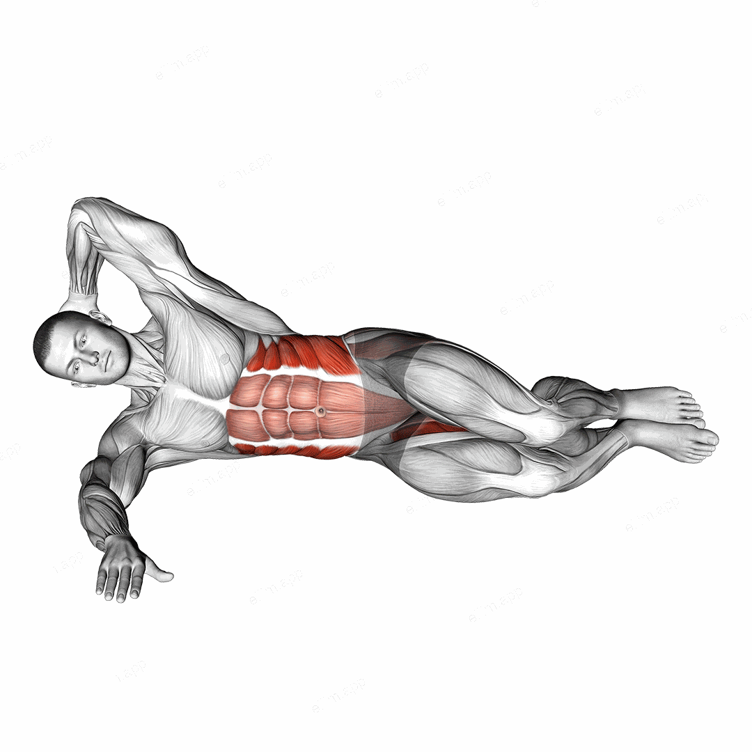 Oblique Crunches with Bent Knee Leg Lift exercise targeting Waist and Adductor Brevis