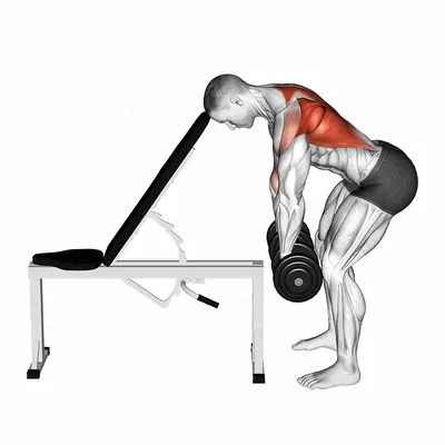 Dumbbell Incline Head Supported Row exercise targeting Back
