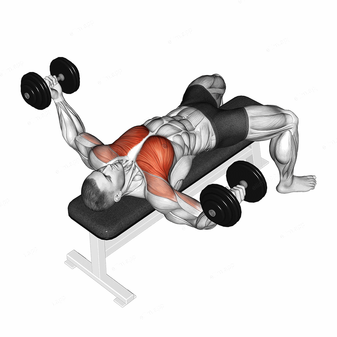 Dumbbell Twisted Fly exercise targeting Chest