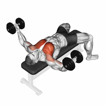 Dumbbell Twisted Fly exercise targeting Chest