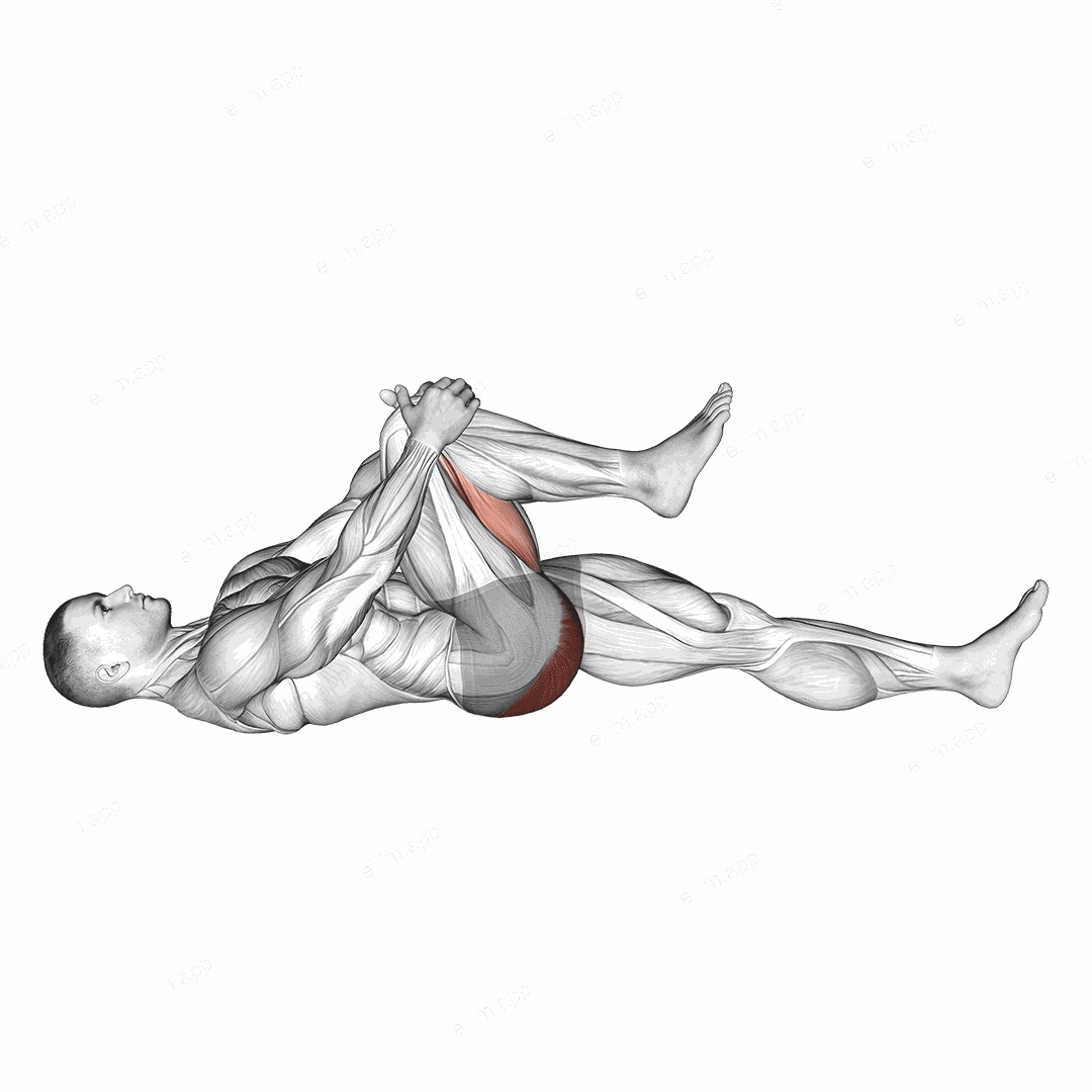 Lying Knee To Chest Stretch exercise targeting Hips and Gluteus Maximus
