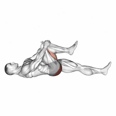 Lying Knee To Chest Stretch exercise targeting Hips and Gluteus Maximus