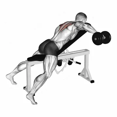 Dumbbell Incline Alternate Reverse Fly exercise targeting Shoulders and Deltoid Posterior