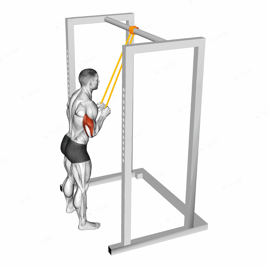Resistance Band Triceps Pushdown exercise targeting Upper Arms and Triceps Brachii