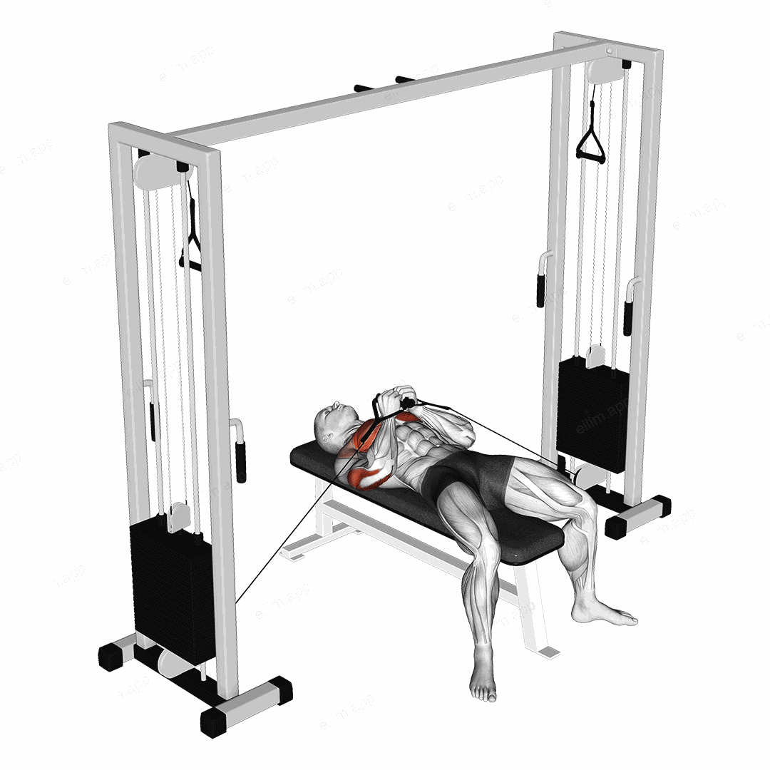 Cable Lying Close Press exercise targeting Upper Arms and Triceps Brachii