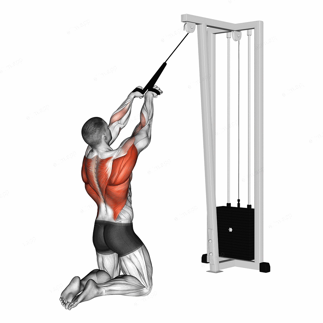 Cable High Row (kneeling, rope attachment) exercise targeting Back