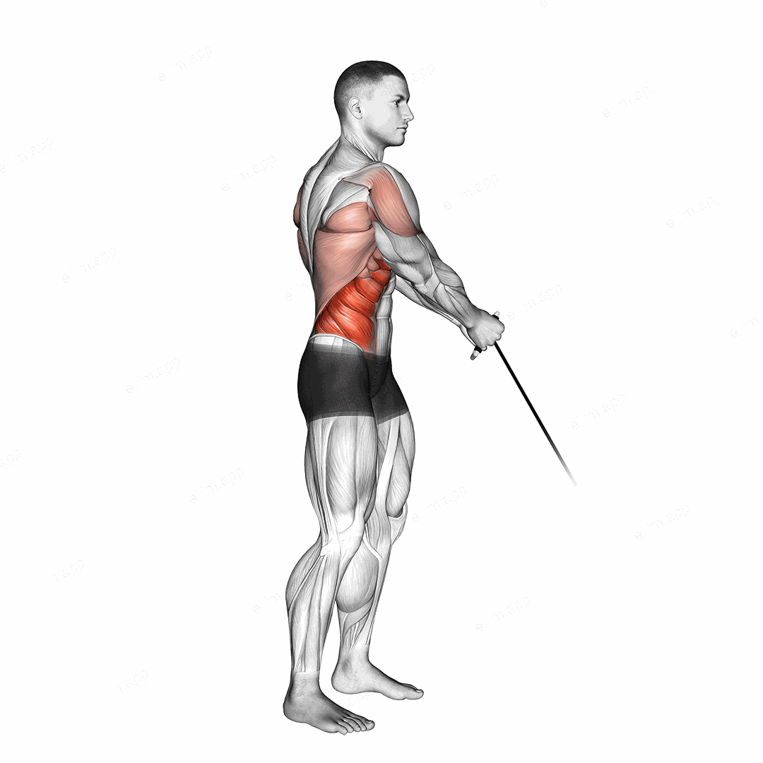 Cable Standing Lift exercise targeting Waist and Obliques