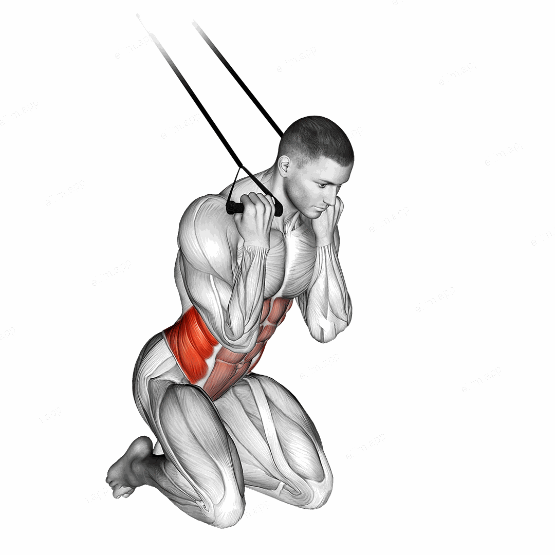 Band Kneeling Twisting Crunch exercise targeting Waist and Obliques
