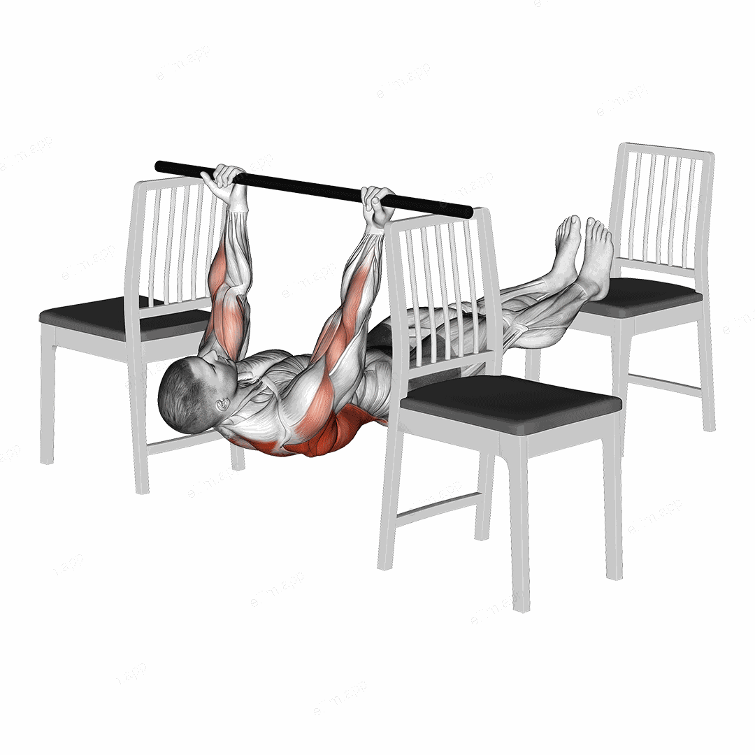 Elevanted Inverted Underhand Grip Row between 3 Chairs exercise targeting Back and Infraspinatus