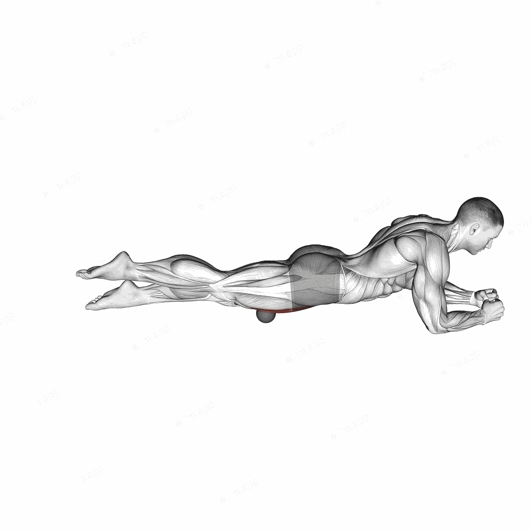Roll Ball Rectus Femoris exercise targeting Thighs