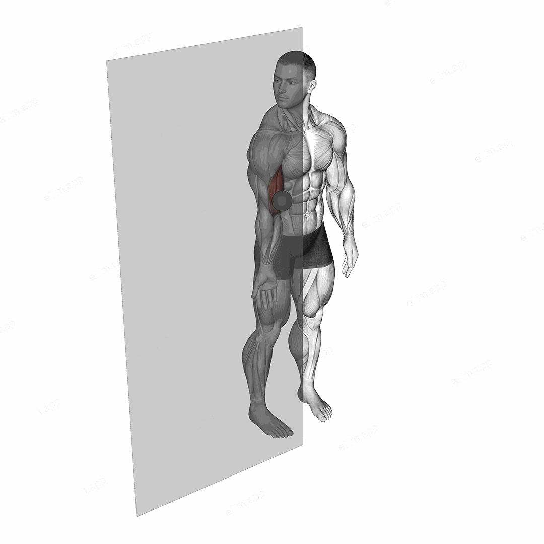 Roll Ball Bicep Brachii exercise targeting Upper Arms