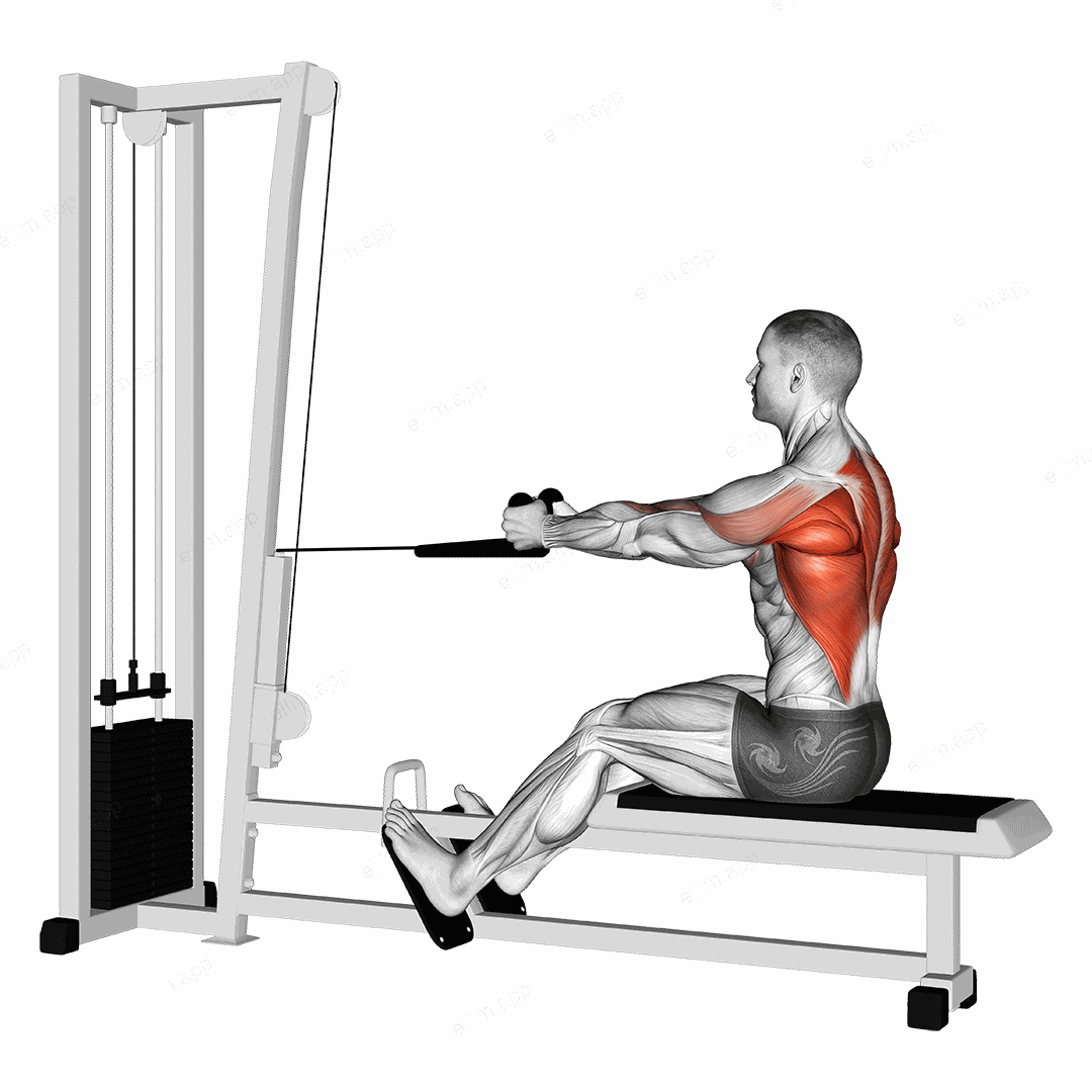 Cable Rope Seated Row exercise targeting Back and Infraspinatus