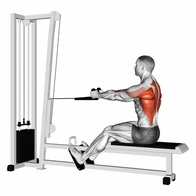 Cable Rope Seated Row exercise targeting Back and Infraspinatus