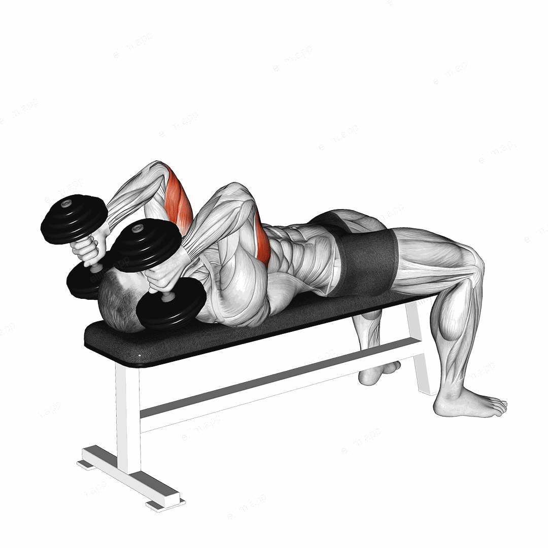 Dumbbell Lying Triceps Extension exercise targeting Upper Arms and Triceps Brachii