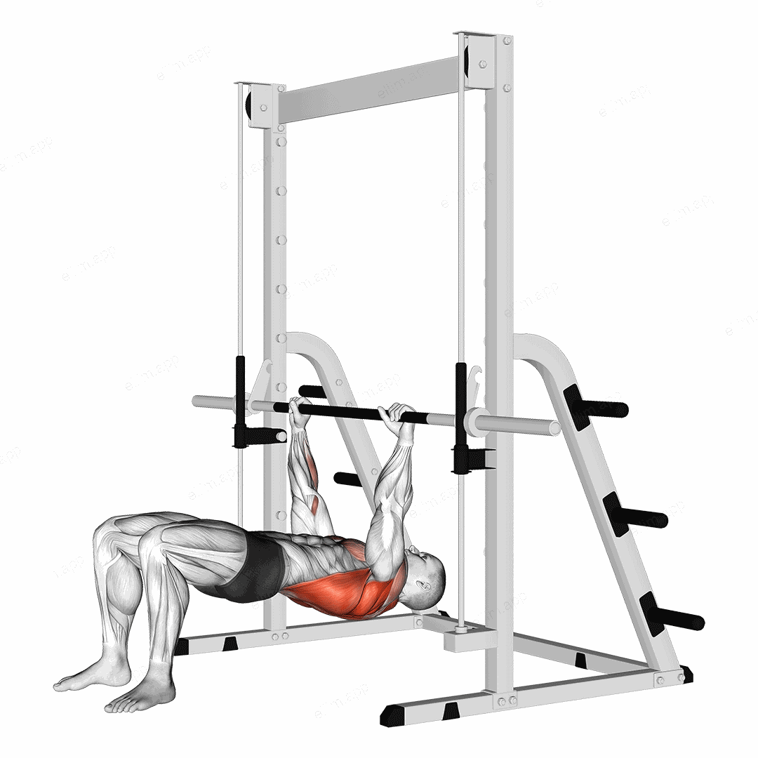 Inverted Row Bent Knees exercise targeting Back and Infraspinatus