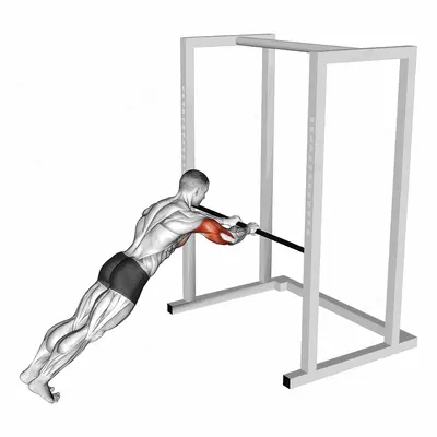 Triceps Press exercise targeting Upper Arms and Triceps Brachii