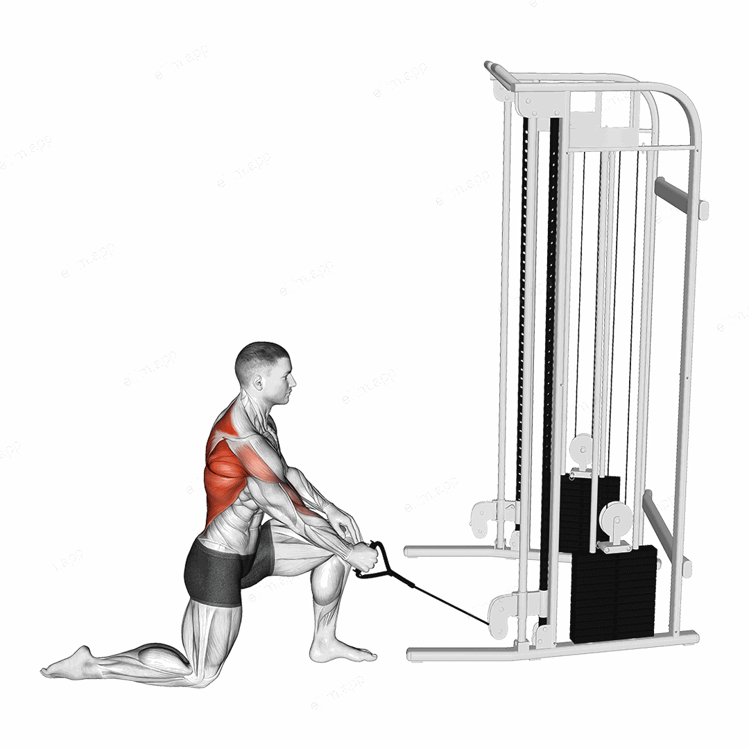 Cable Kneeling One Arm Row exercise targeting Back