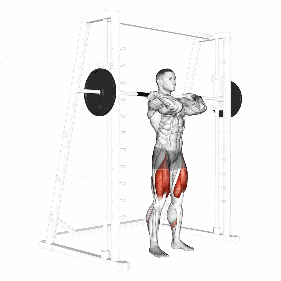 Smith Front Squat (Clean Grip) exercise targeting Thighs and Gluteus Maximus