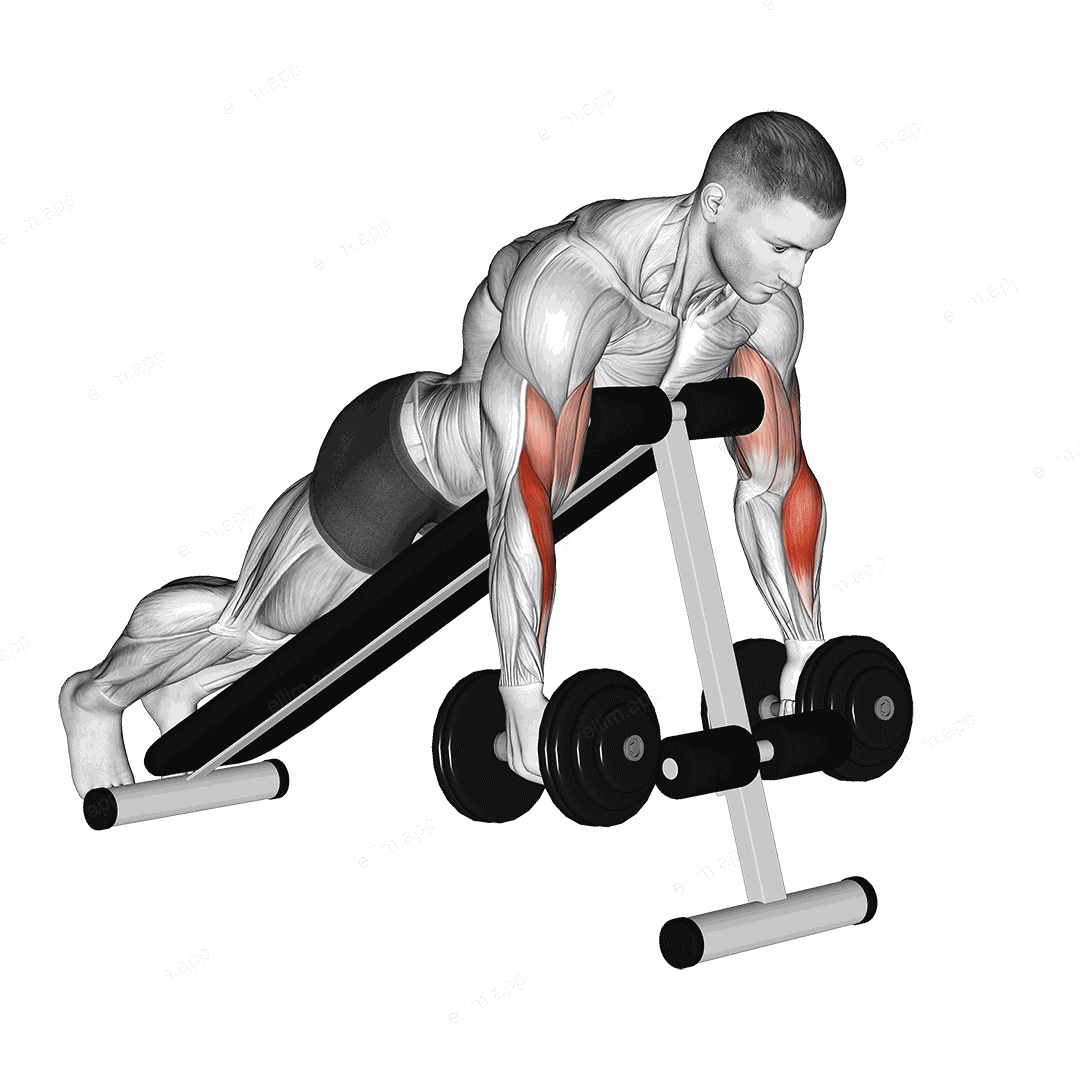 Dumbbell Prone Incline Hammer Curl exercise targeting Upper Arms and Brachioradialis
