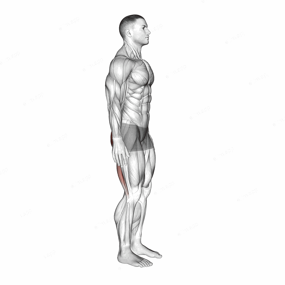 Standing Back Extension And Flexion exercise targeting Hips