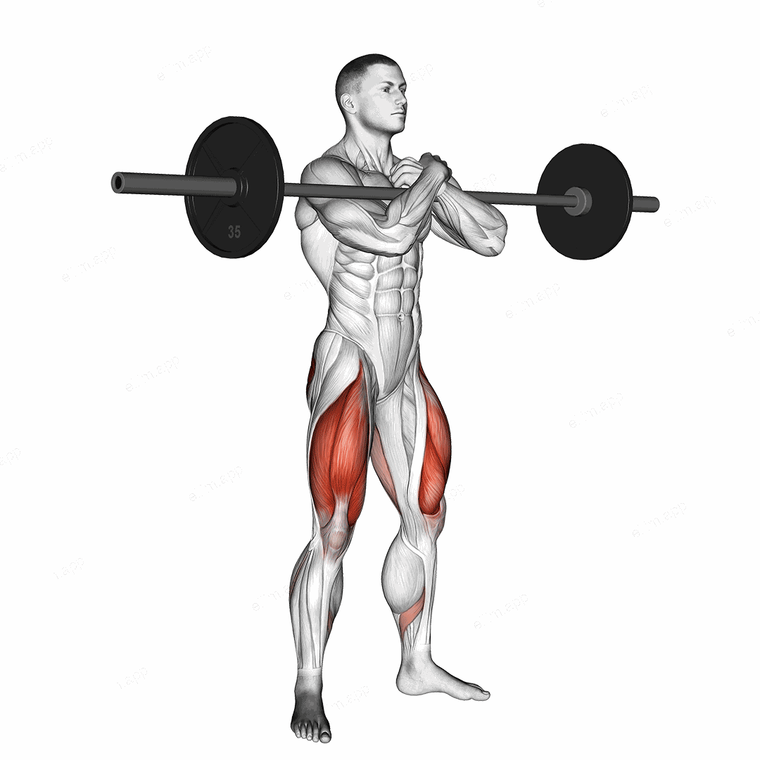 Barbell Zercher Squat exercise targeting Hips and Gluteus Maximus