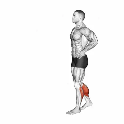 Bodyweight Walking Calf Raise exercise targeting Calves