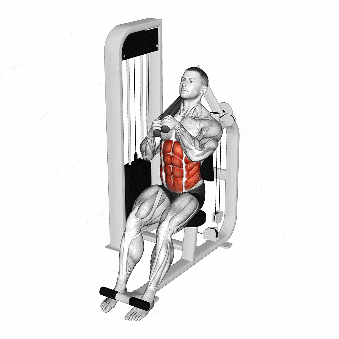 Lever Seated Left Side Crunch exercise targeting Waist